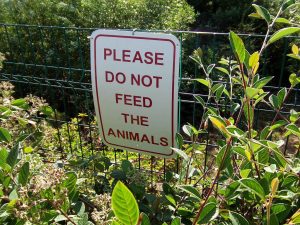 Please Do Not Feed The Animals Sign